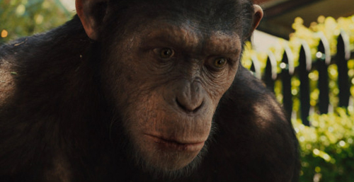 rise_of_the_planet_of_the_apes_4.jpg