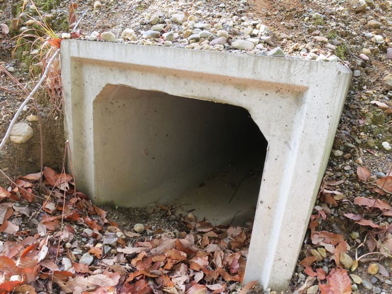 野生動物用のトンネル