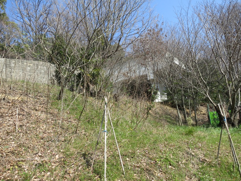 稲田集落から見えるシェルター14323 (1)