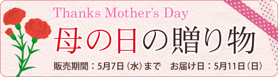 和田珍味「母の日特集」