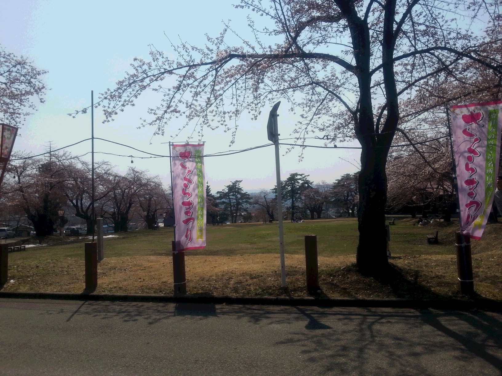 真人公園桜パート２ひろば20140425_124614