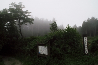 湯坂路ハイキングコース：濃霧に包まれる芦之湯側入口