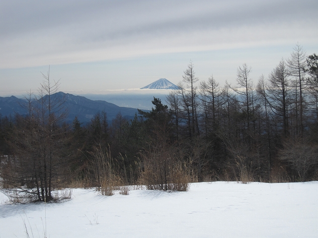 20140206-4富士山