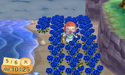 青いバラの咲かせ方 増やし方 とびだせどうぶつの森 L ゲームプレイ日記