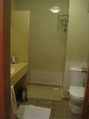 シャワーの仕切りの壁がもう少し長ければ トイレ脇の床が濡れないのに、