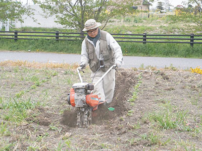 ジャガイモの土寄せ作業