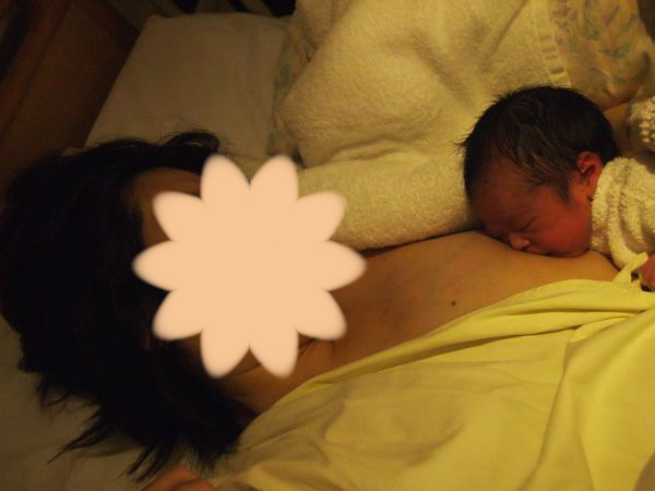 私の双子出産体験記 産後編2 静かな生活 東京で双子育児
