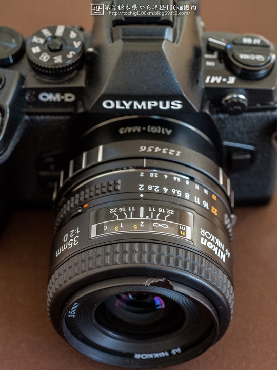 OLYMPUS OM-D E-M1 + Ai AF Nikkor 35mm f/2D