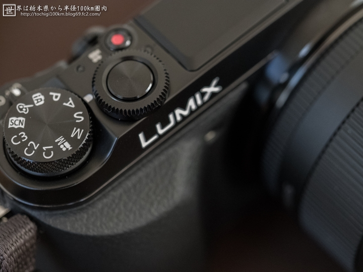 LUMIX DMC-GX7